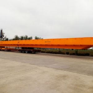 青島歐式起重機(jī)項目